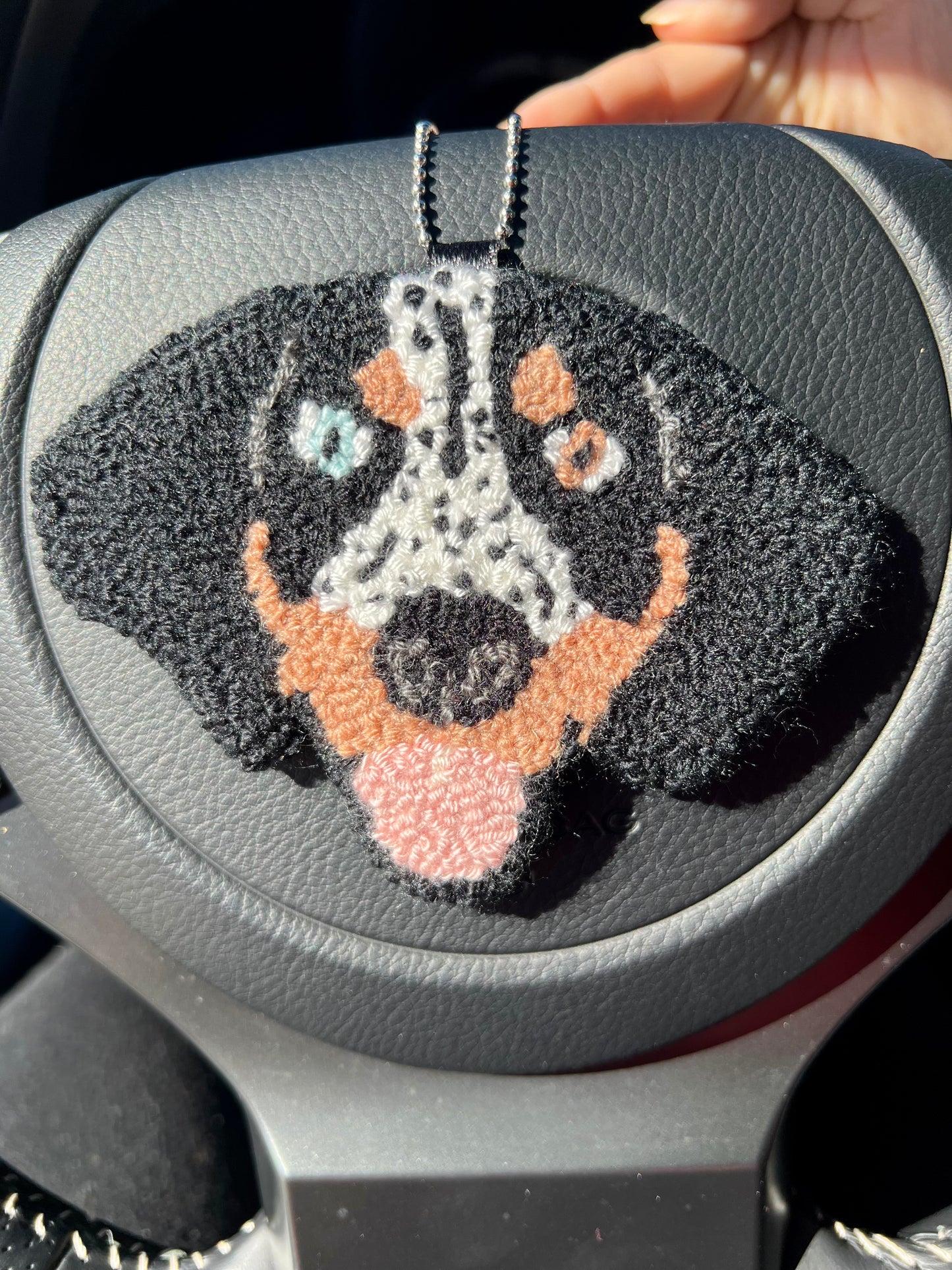 Pet Face Rearview Mirror Hanging