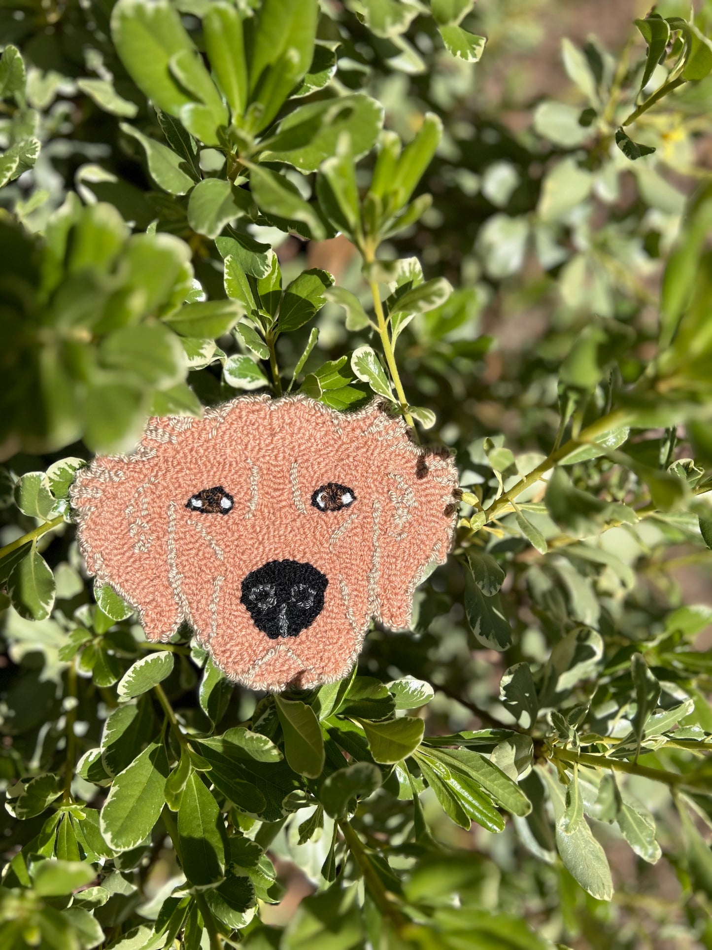 Pet Portrait Wall Art