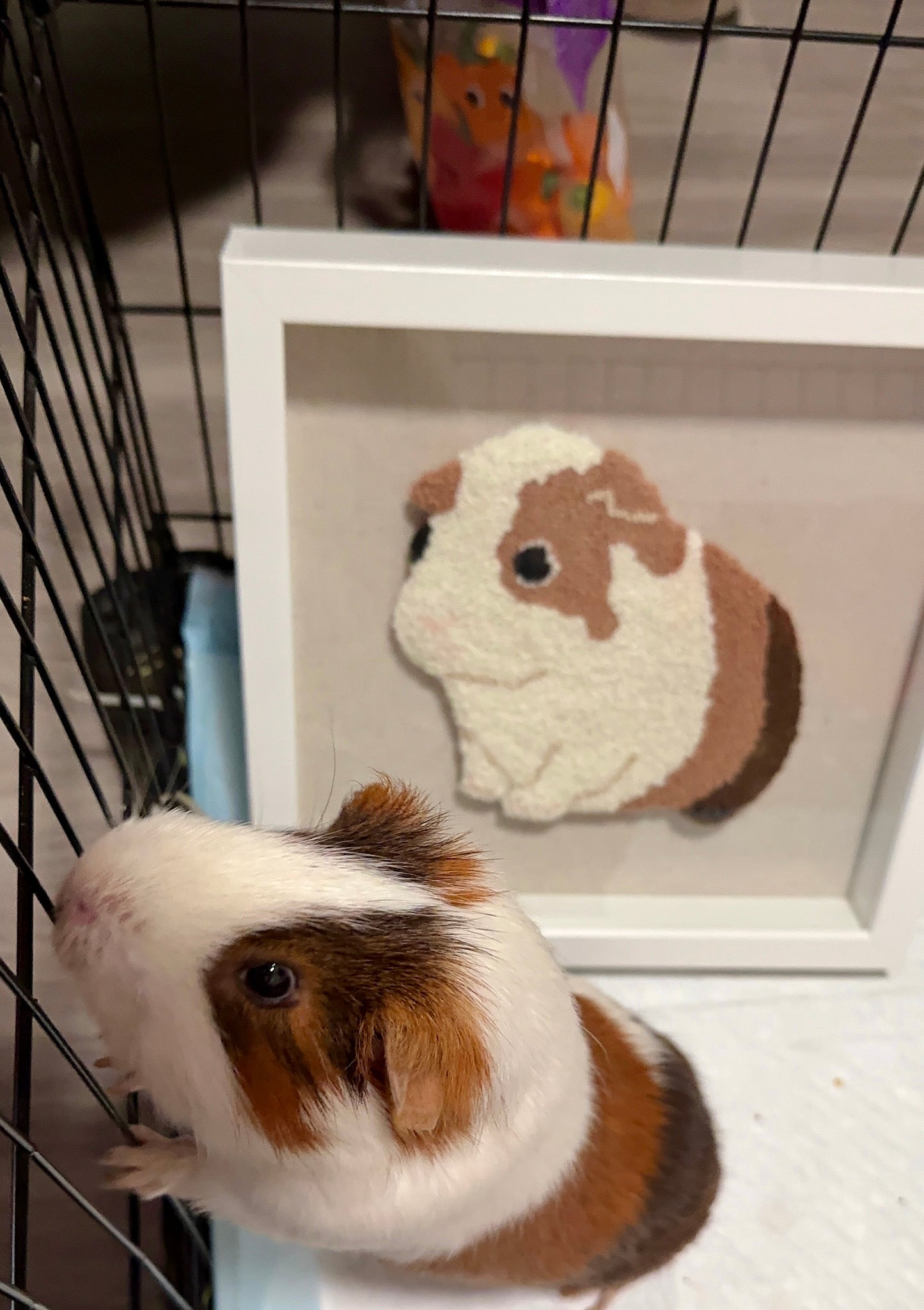 Pet Portrait Wall Art