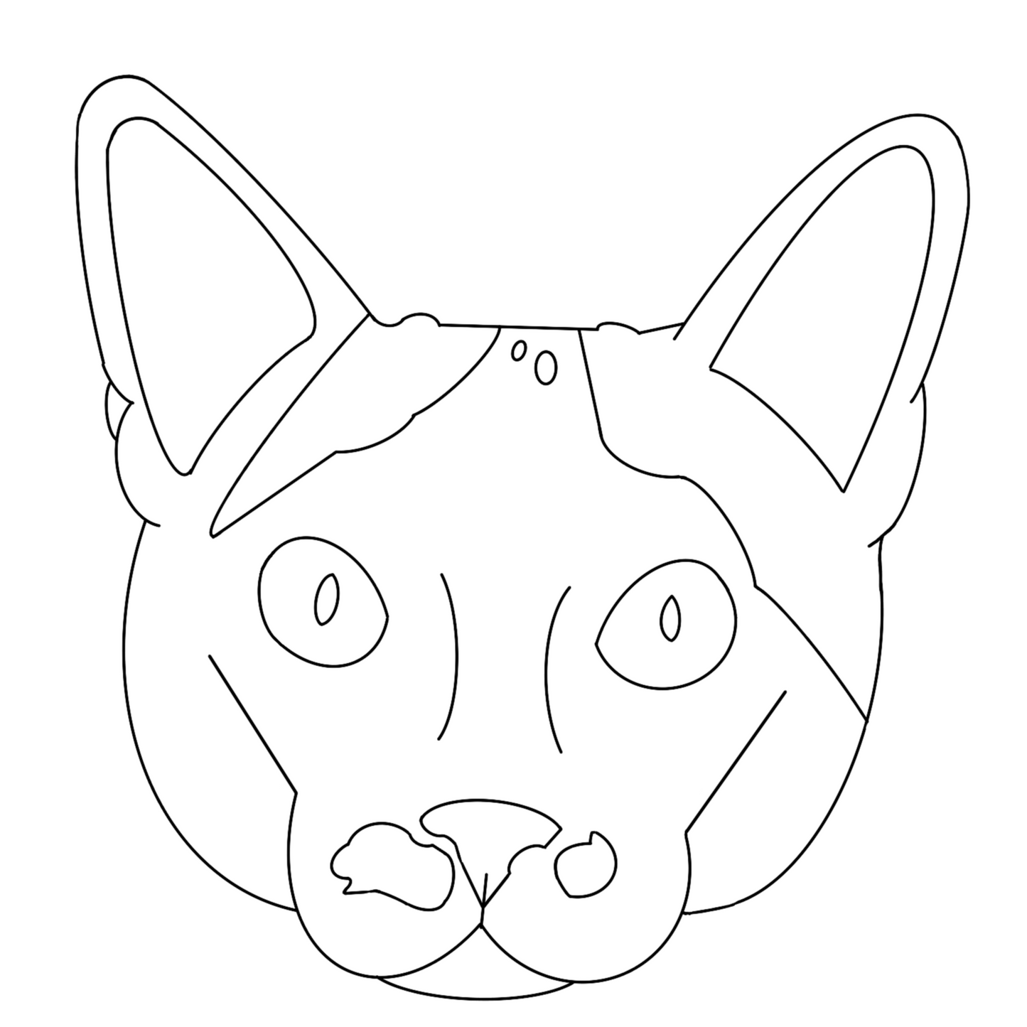 Minimal Face Outline